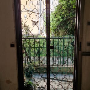 דלת עם סורגים ומרפסת חיצונית עם צמחייה