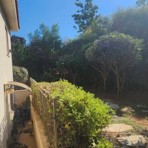 גינה עם שיחים ועצים ליד בית