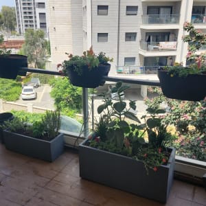 עציצים עם צמחים ופרחים על מעקה מרפסת