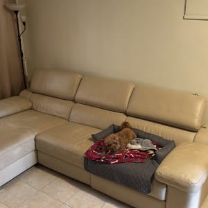 ספה בהירה עם כיסוי ושמיכה צבעונית