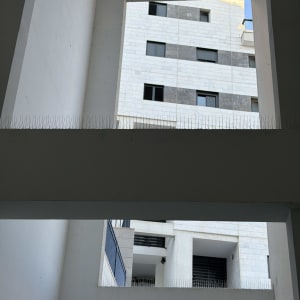 בניין עם דוקרנים להרחקת יונים