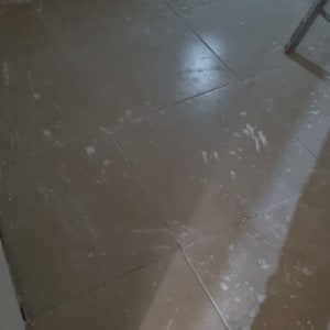 רצפה עם כתמי צבע לאחר צביעה