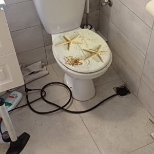 שירותים עם מכסה מעוצב, צינור וכלים לניקוי