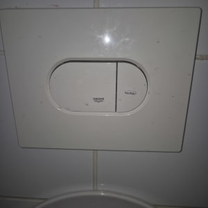 לחצן הדחה של אסלה על קיר קרמיקה