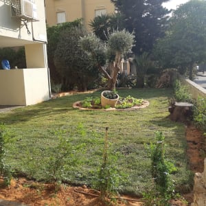 גינה עם דשא, עציץ עגול ועץ קטן במרכז