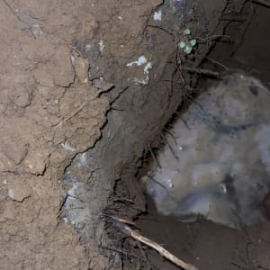 אדמה רטובה עם סדקים ומים