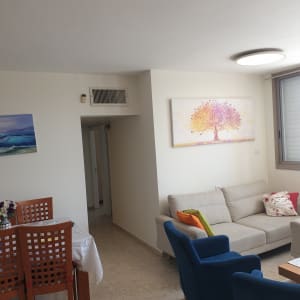 שני ציורים תלויים על קיר בסלון