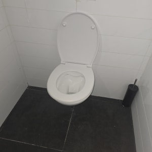 אסלה לבנה עם מברשת שירותים על רצפה כהה