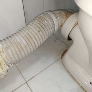 צינור גמיש מחובר לאסלה עם לכלוך