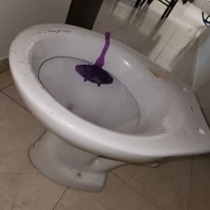 אסלה עם כתמים על הרצפה