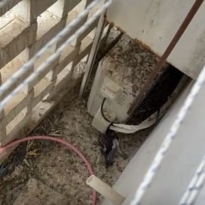 אזור מלוכלך עם צינור ומזגן חיצוני