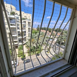 חלון עם רשת נגד יונים ונוף עירוני
