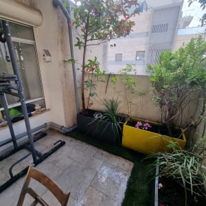 עציצים עם צמחים במרפסת קטנה