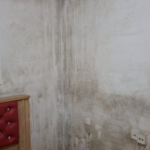 קיר עם סימני רטיבות ועובש בפינה