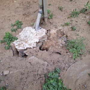 צינור מים שבור באדמה עם צמחייה מסביב