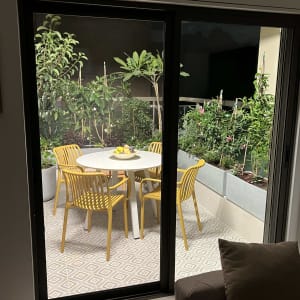 עציצים עם צמחים ירוקים על מרפסת