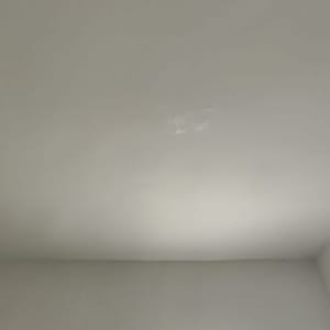 תקרה עם מנורה מותקנת