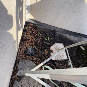 ניקוז גג עם עלים יבשים וצל של מבנה