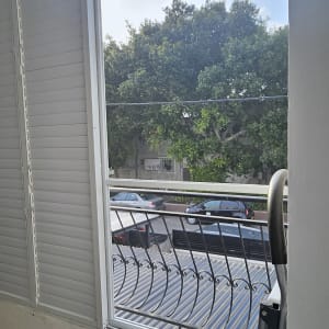 חלון אלומיניום עם תריסים ונוף עצים בחוץ