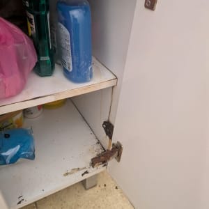 ציר חלוד בארון מתחת לכיור