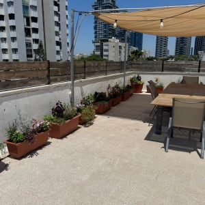 עציצים עם פרחים על מרפסת תחת שמשיה