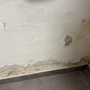 קיר עם סדקים ונזקי רטיבות, זקוק לצביעה