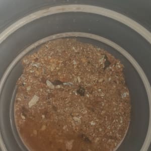 חומר חום בתוך מיכל עגול