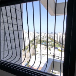 סורגי מתכת על חלון עם נוף עירוני