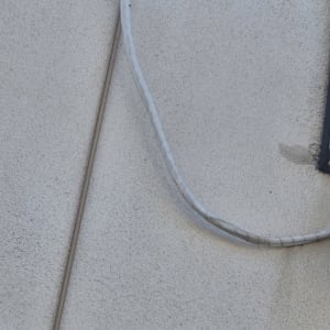 תוכי ירוק יושב על צינור על קיר חיצוני