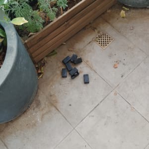 שישה חלקים שחורים על רצפה ליד עציץ