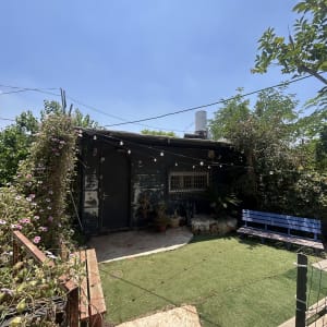 חצר עם דשא סינטטי וצמחייה מסביב