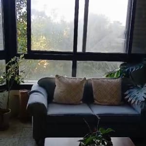 ספה עם כריות ליד חלון גדול וצמחים