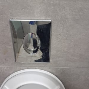 לחצן ניאגרה כסוף על קיר אפור