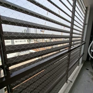 רשת יונים מותקנת על מרפסת בניין