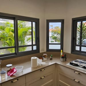 מטבח עם חלונות, צמחים וכלי ניקוי על השיש