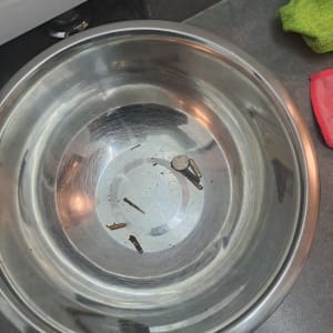 חלקי מתכת קטנים בקערת נירוסטה על רצפה אפורה