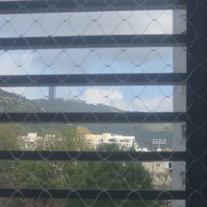 נוף עירוני עם עצים ומבנים דרך סורגי חלון