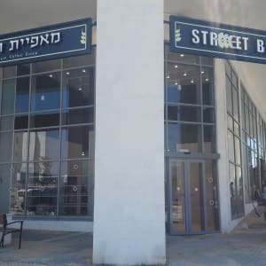 עציצים עם צמחים ירוקים ליד הכניסה לחנות