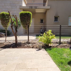 שיחים גזומים ועץ קטן בגינה מגודרת