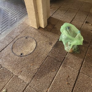 מכסה ביוב ושקית ירוקה על המדרכה