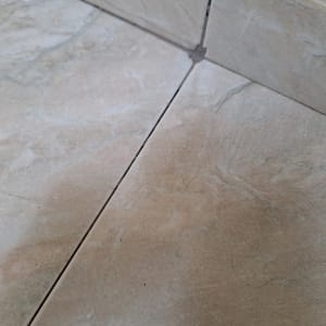 רצפה עם חריצים בין אריחים, מתאים להדברה