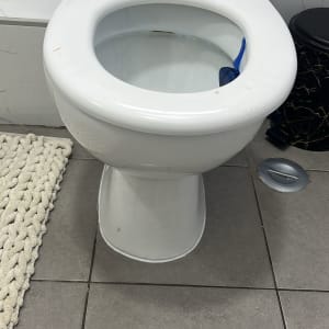 אסלה עם מברשת כחולה בתוכה