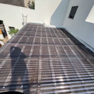 גג שקוף עם צל של אדם וצמחים בצד