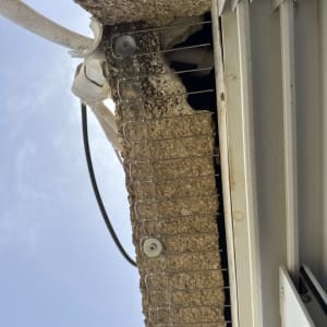 דוקרנים נגד יונים מותקנים על קיר חיצוני