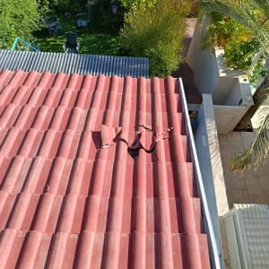 רעפים פגומים על גג עם צמחייה מסביב