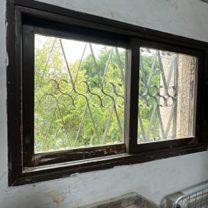 חלון עם סורגי ברזל ונוף עצים בחוץ