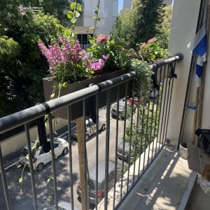 עציצים עם פרחים על מעקה מרפסת