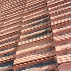 גג רעפים עם כתמים ושברים קלים