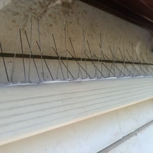 דוקרנים להרחקת יונים על גג בניין