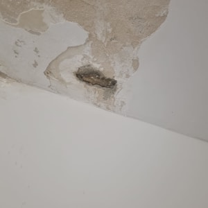 קיר עם טיח מתקלף וחור קטן